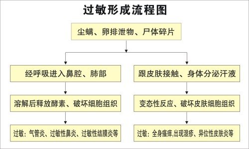 草席螨虫,消草席上的螨虫,螨虫_点力图库