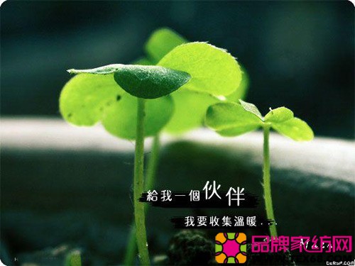 如何提高员工的归属感 ?