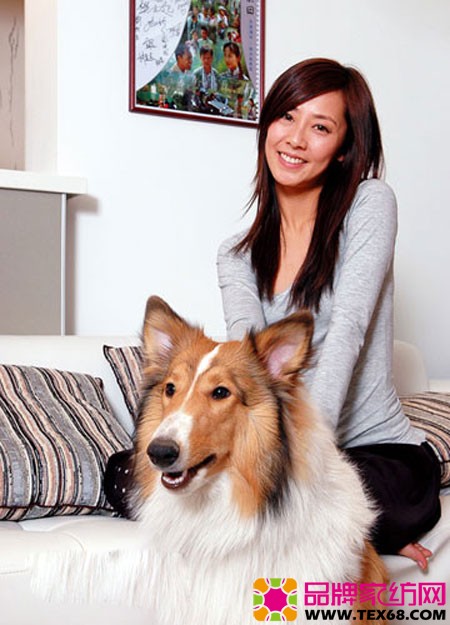 张茜与张卫健的温馨家居-品牌家纺网