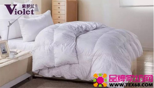 紫罗兰生机家纺2