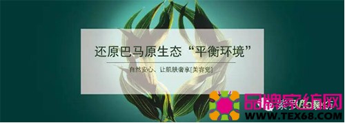 紫罗兰生机家纺4