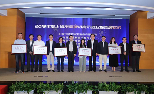 小绵羊获得上海市品牌培育示范企业荣誉称号