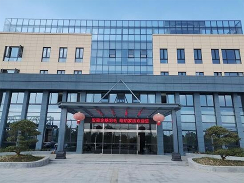 火炬羽毛成功入围《国货优品》栏目评选