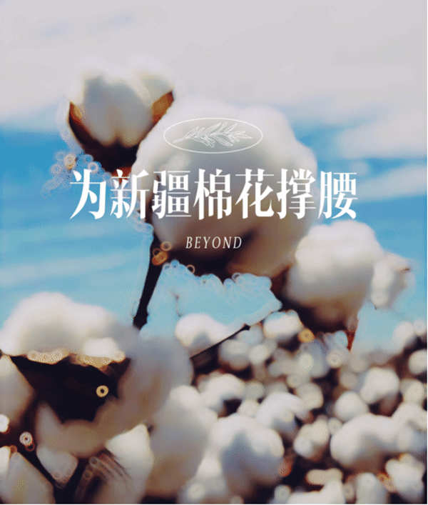 博洋
