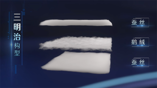 水星X
